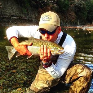 Meet your Posher, Scott